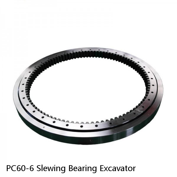PC60-6 Slewing Bearing Excavator