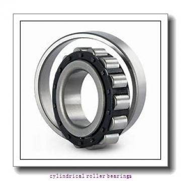 7.48 Inch | 190 Millimeter x 9.013 Inch | 228.93 Millimeter x 4.5 Inch | 114.3 Millimeter  TIMKEN A-5238 R6  Cylindrical Roller Bearings