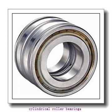 1.772 Inch | 45 Millimeter x 2.186 Inch | 55.524 Millimeter x 1.188 Inch | 30.175 Millimeter  LINK BELT MA5209  Cylindrical Roller Bearings
