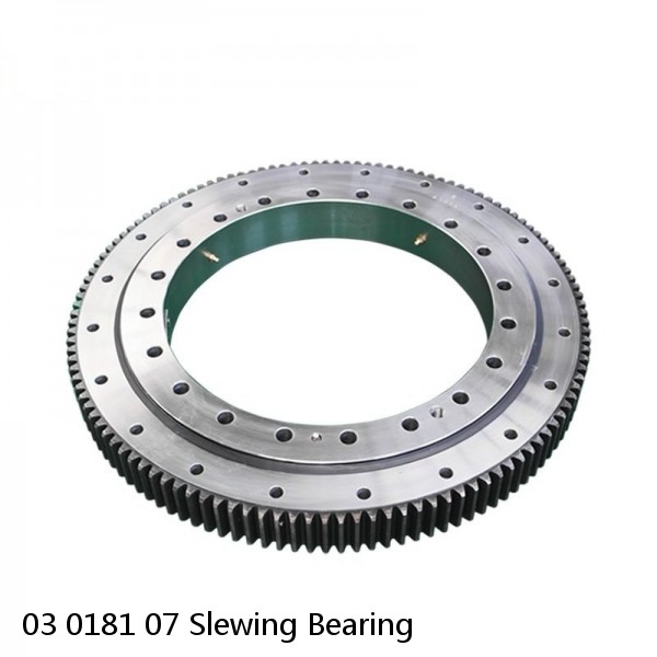 03 0181 07 Slewing Bearing