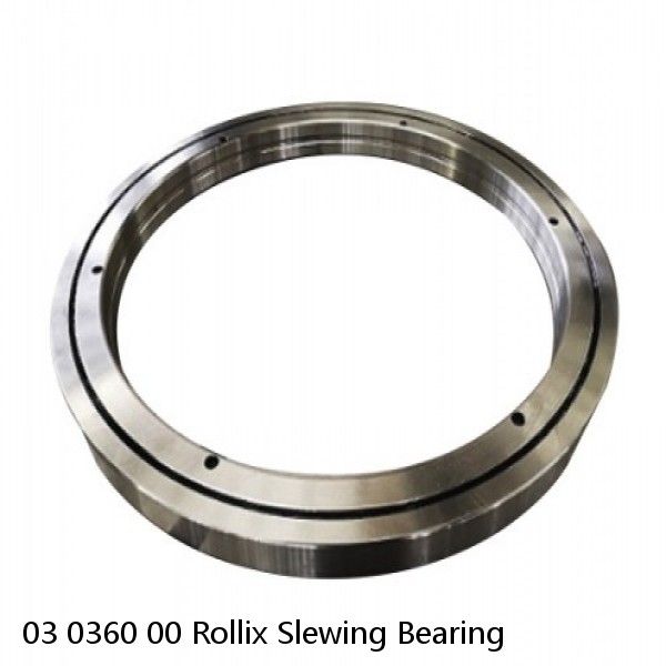 03 0360 00 Rollix Slewing Bearing