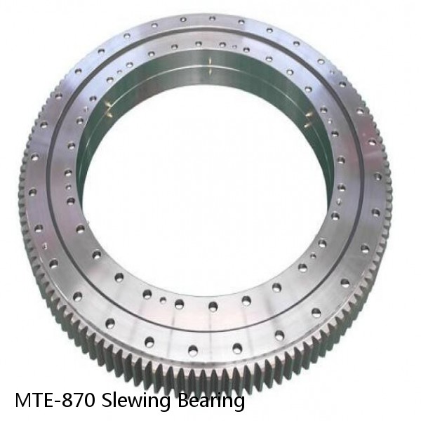 MTE-870 Slewing Bearing #1 small image