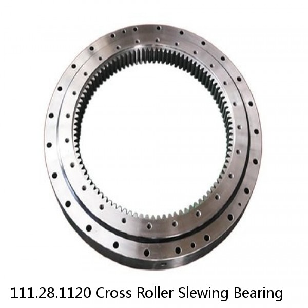 111.28.1120 Cross Roller Slewing Bearing #1 small image