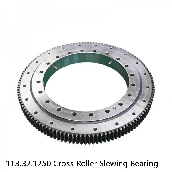 113.32.1250 Cross Roller Slewing Bearing #1 small image