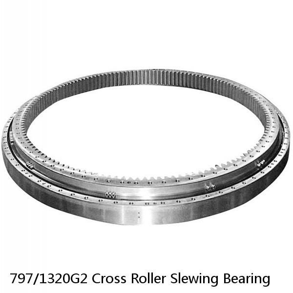 797/1320G2 Cross Roller Slewing Bearing #1 small image