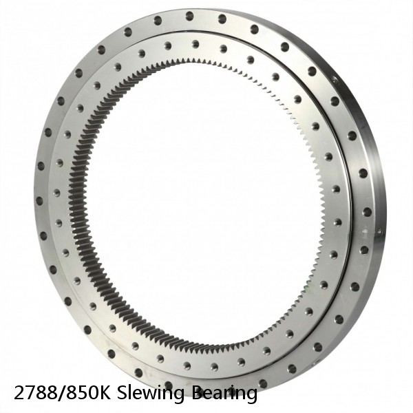 2788/850K Slewing Bearing #1 small image