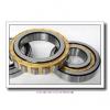 380 mm x 520 mm x 82 mm  TIMKEN NCF2976V  Cylindrical Roller Bearings