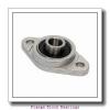 REXNORD ZBR6303  Flange Block Bearings #1 small image