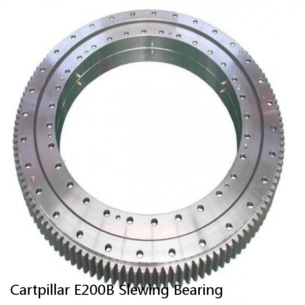Cartpillar E200B Slewing Bearing #1 image