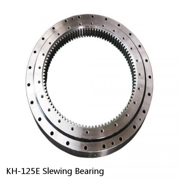 KH-125E Slewing Bearing #1 image