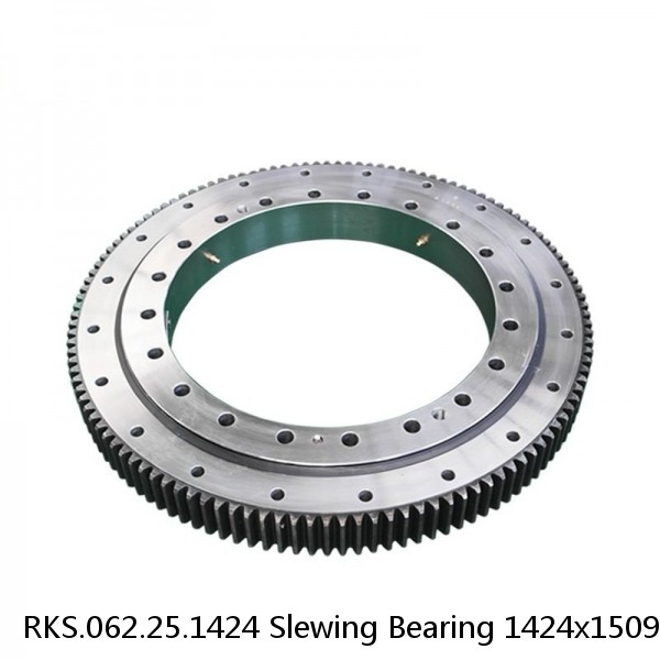 RKS.062.25.1424 Slewing Bearing 1424x1509x16mm #1 image