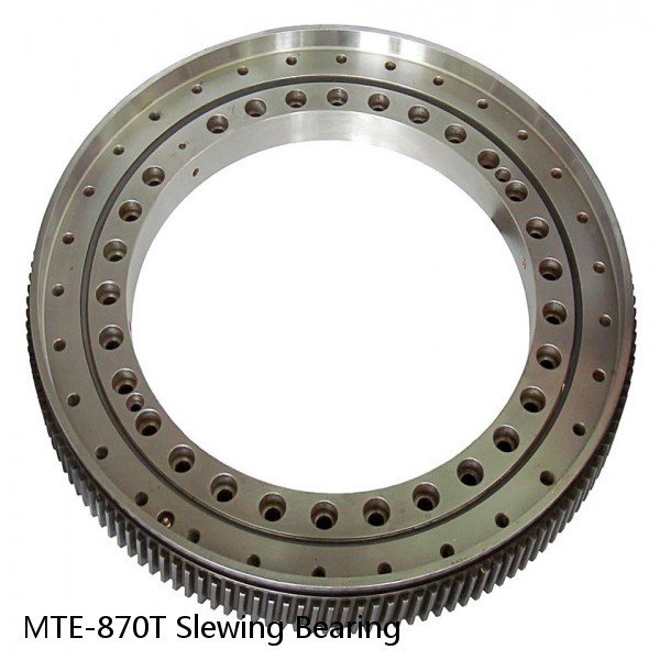 MTE-870T Slewing Bearing #1 image