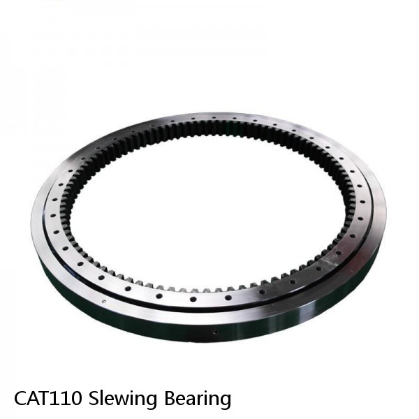 CAT110 Slewing Bearing #1 image