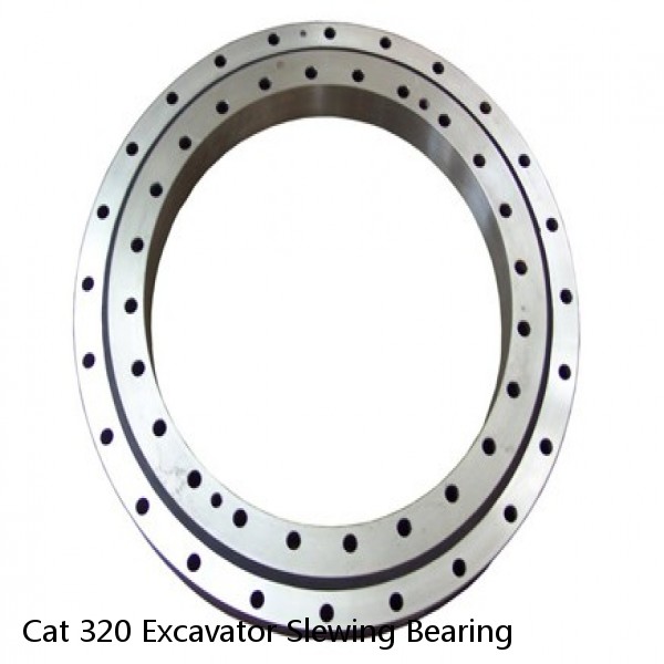 Cat 320 Excavator Slewing Bearing #1 image