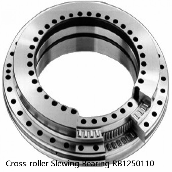 Cross-roller Slewing Bearing RB1250110 #1 image