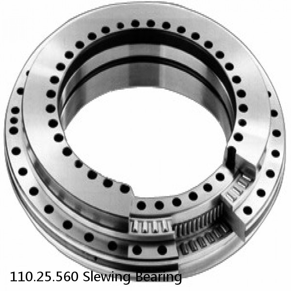 110.25.560 Slewing Bearing #1 image