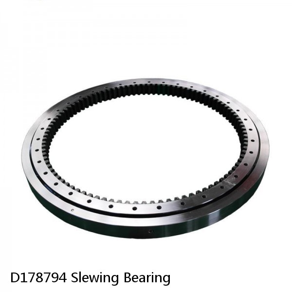 D178794 Slewing Bearing #1 image