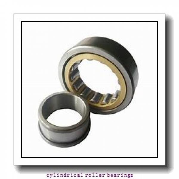 1.181 Inch | 30 Millimeter x 2.441 Inch | 62 Millimeter x 0.63 Inch | 16 Millimeter  LINK BELT MU1206UM  Cylindrical Roller Bearings #3 image