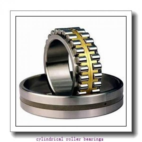 0.984 Inch | 25 Millimeter x 2.047 Inch | 52 Millimeter x 0.813 Inch | 20.638 Millimeter  LINK BELT MU5205UM  Cylindrical Roller Bearings #2 image