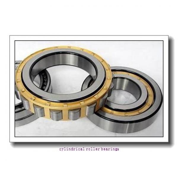 1.772 Inch | 45 Millimeter x 3.937 Inch | 100 Millimeter x 0.984 Inch | 25 Millimeter  SKF NJ 309 ECP/C5  Cylindrical Roller Bearings #1 image